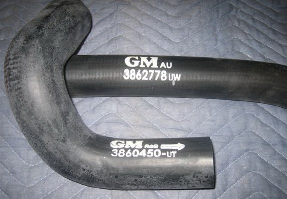 1955-57 Chevy V8 Lower Radiator Hose with clamps